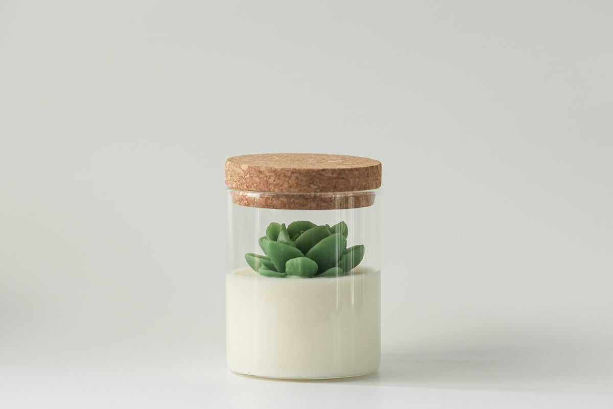 Succulent Candle