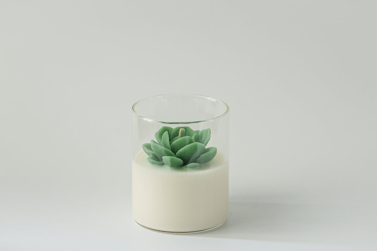 Succulent Candle