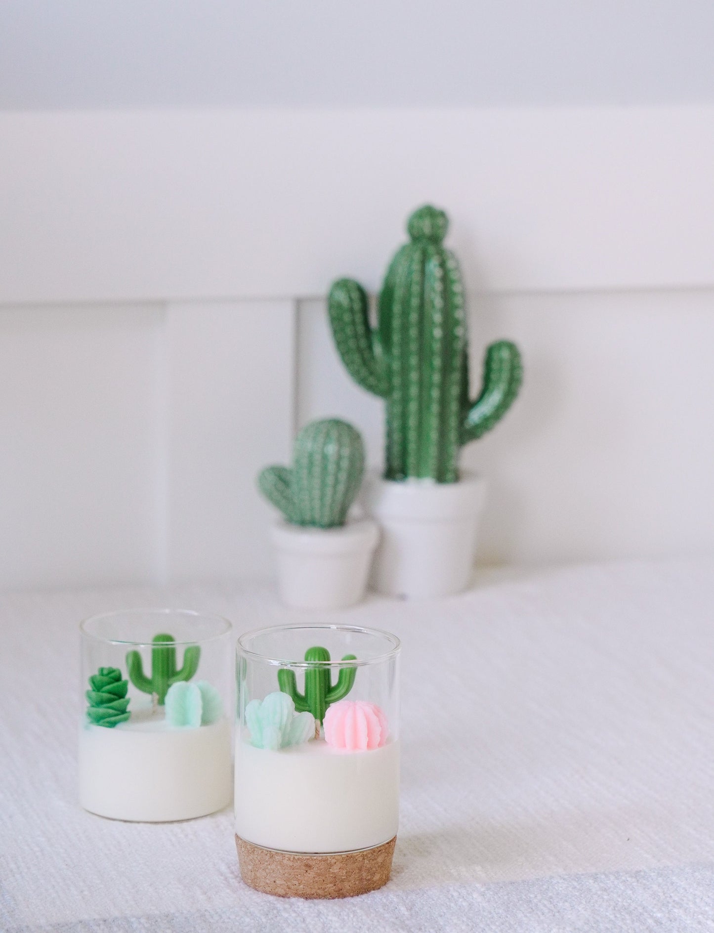 Succulent and Cactus Candle