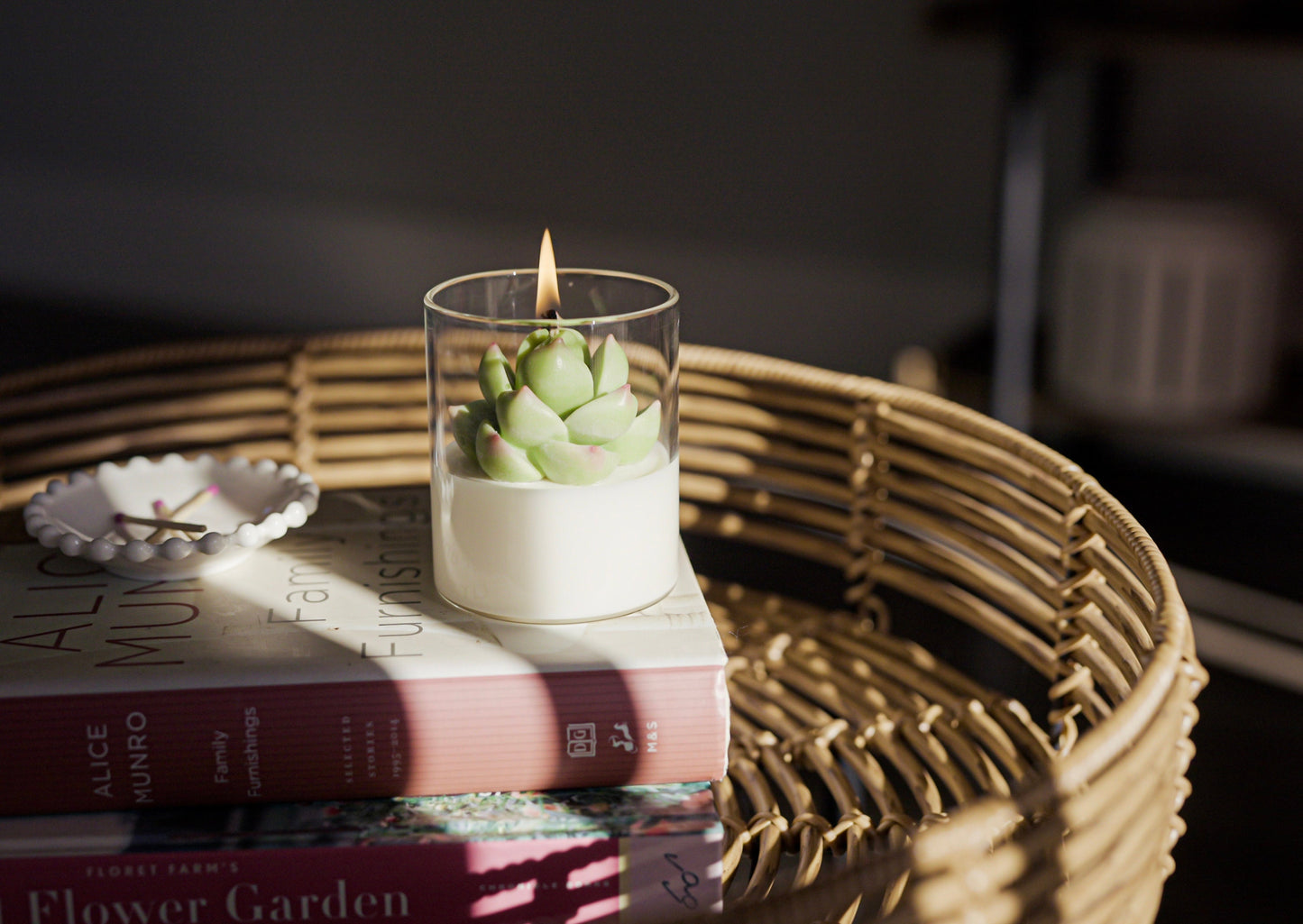 Echeveria Succulent Candle