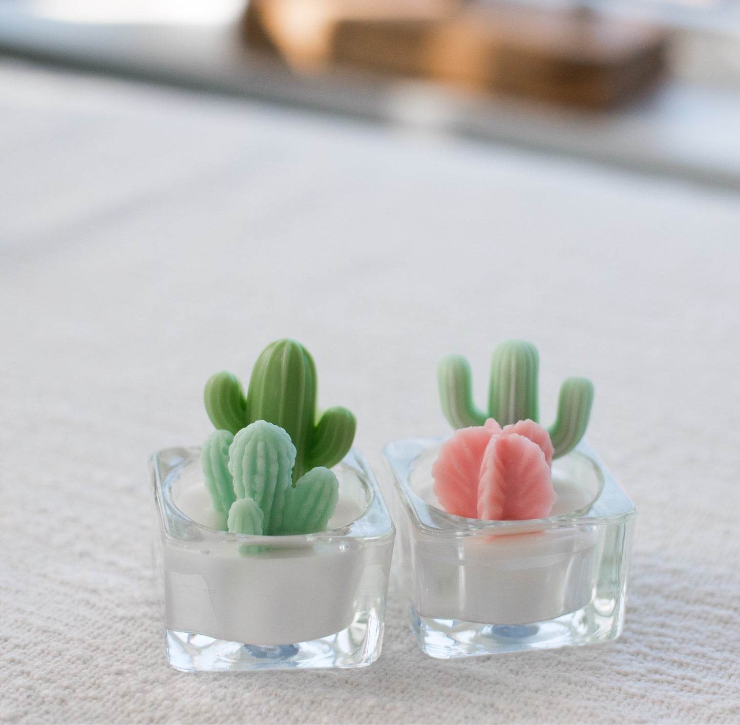 Cactus Succulent Tealight
